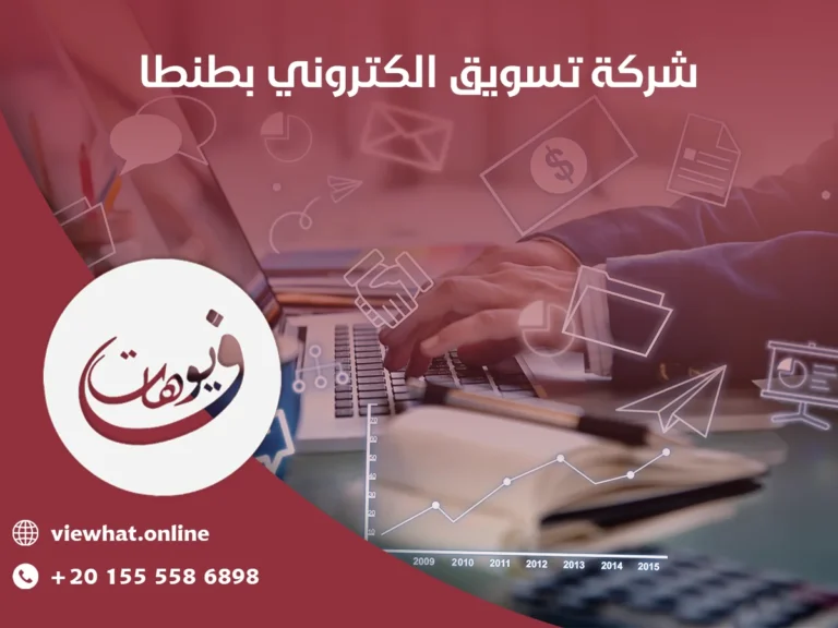 شركات التسويق الإلكتروني بطنطا