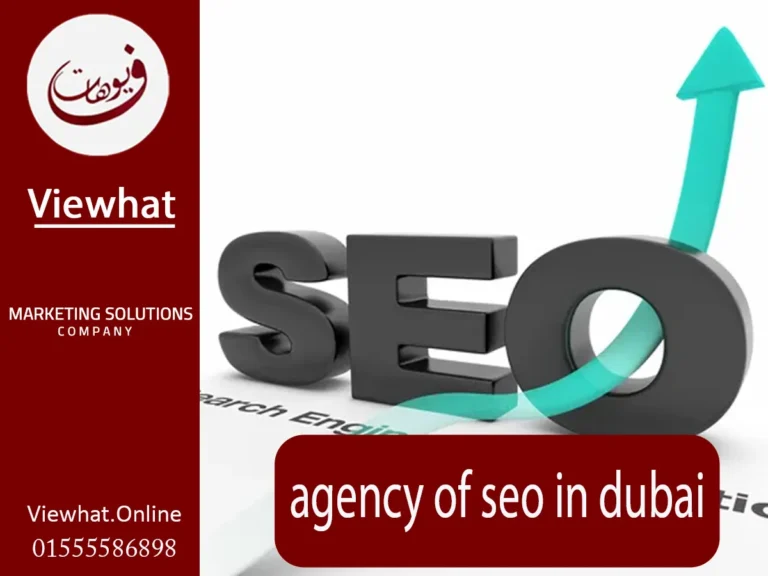agency of seo in dubai