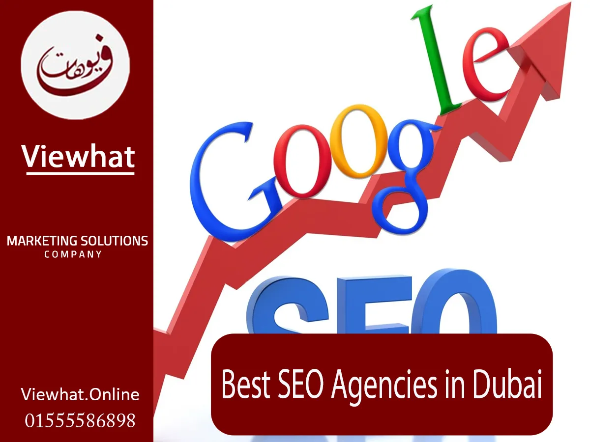 gency of seo in dubai