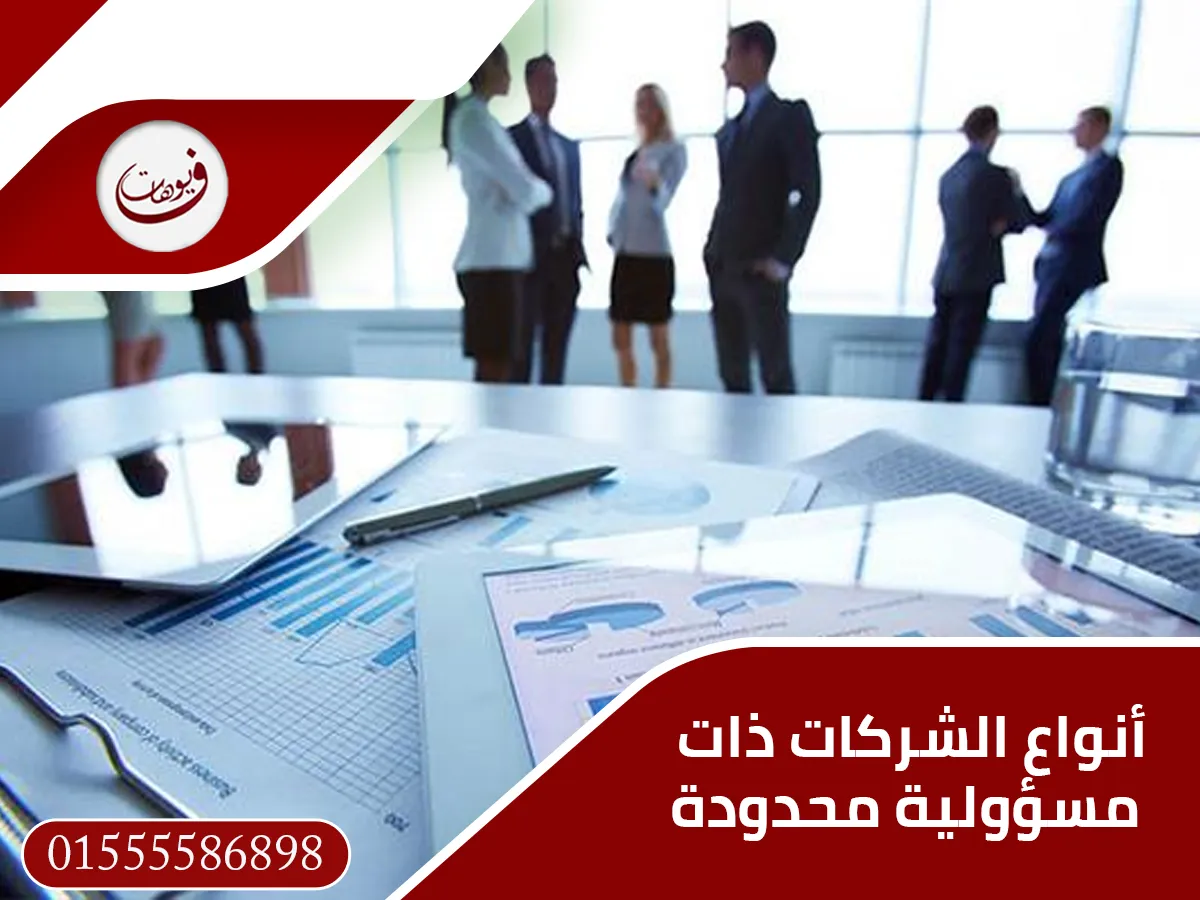 أنواع الشركات ذات مسؤولية محدودة