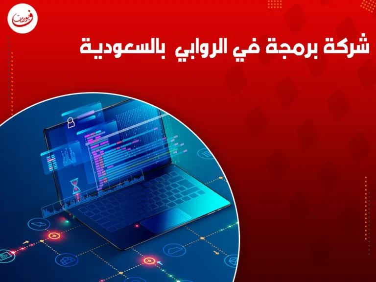 شركة برمجة في الروابي بالسعودية