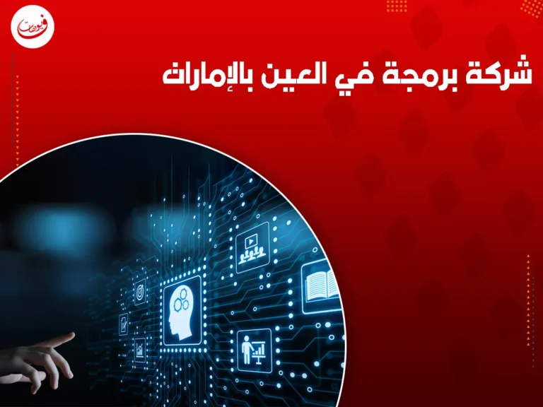 شركة برمجة في العين بالإمارات
