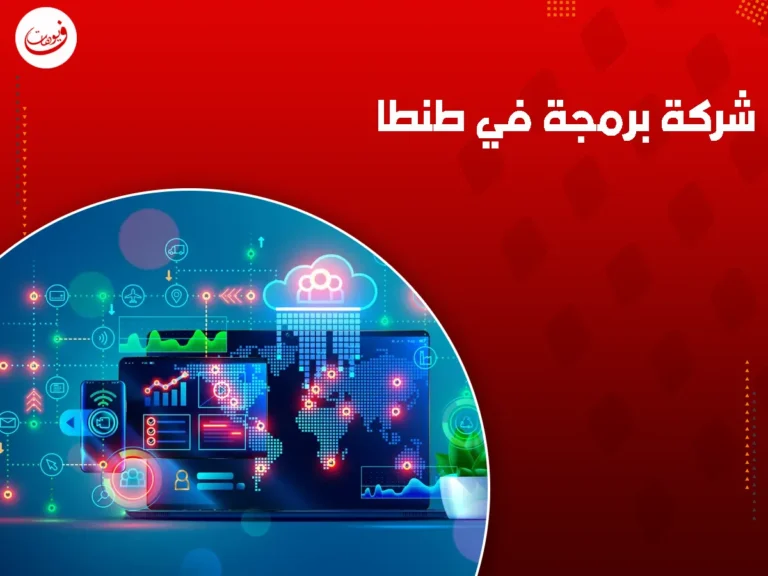 شركة برمجة في طنطا