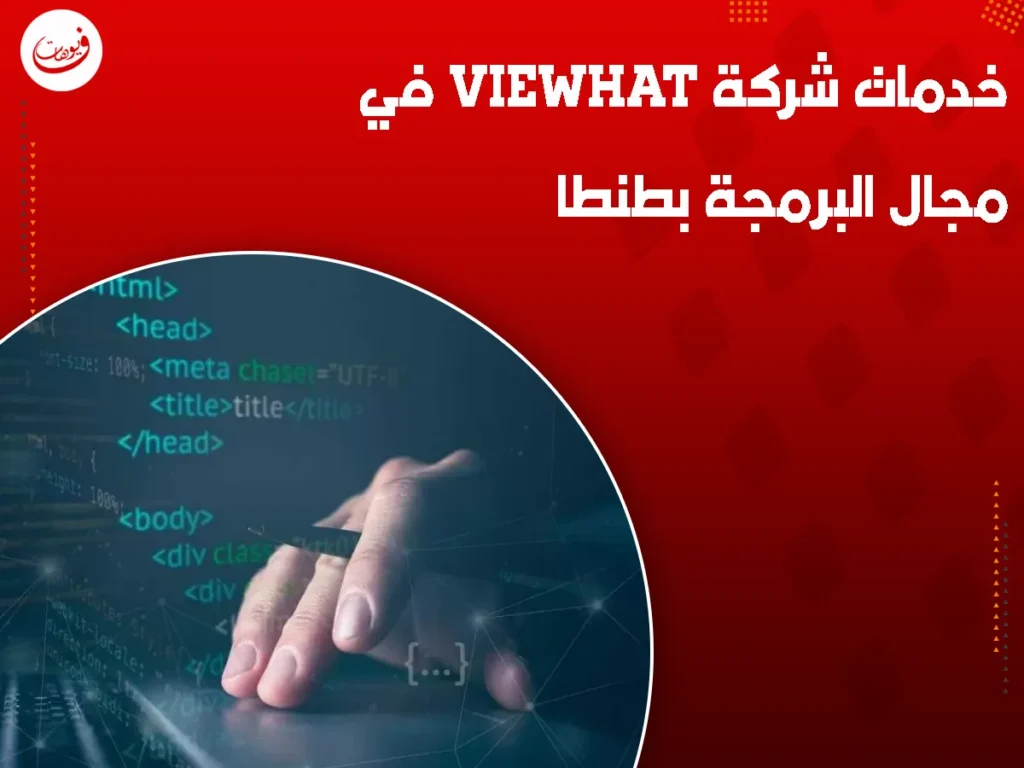 خدمات شركة Viewhat في مجال البرمجة بطنطا